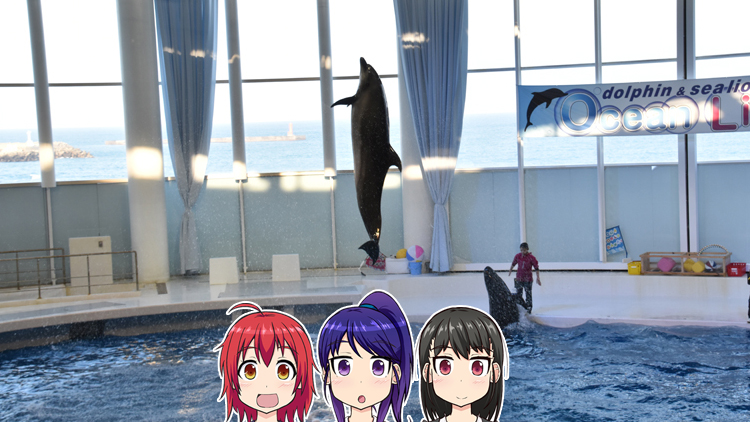 サメの種類日本一のアクアワールド大洗水族館 イルカ アシカショーも Web漫画 シマテイエン